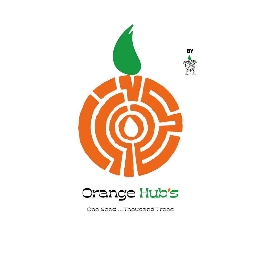 Orange Hub Logo