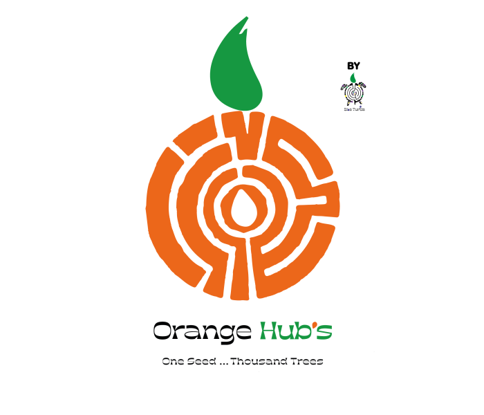 ORANGE HUB_LOGO_FINAL-02